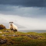 5-Day Iona, Mull and the Isle of Skye Small-Group Tour from Edinburgh - In-Depth Look at the Itinerary