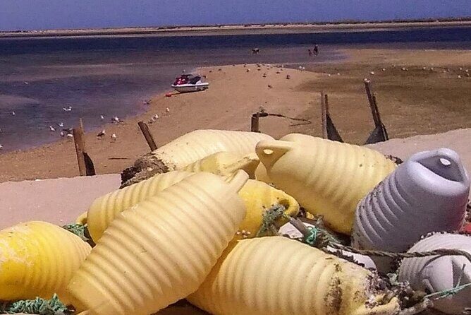 5 Hour Boat Tour in Ria Formosa - Downsides and Considerations