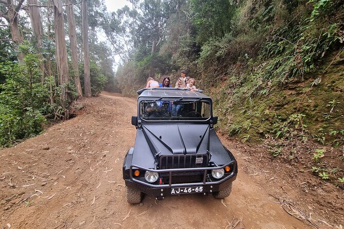 5 Hours Private tour To Porto Moniz, Rock pools, waterfalls - How the Tour Works and What Youll Experience