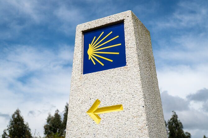 7-Day Tour of the French Way of Santiago from Sarria - Who Should Consider This Tour?