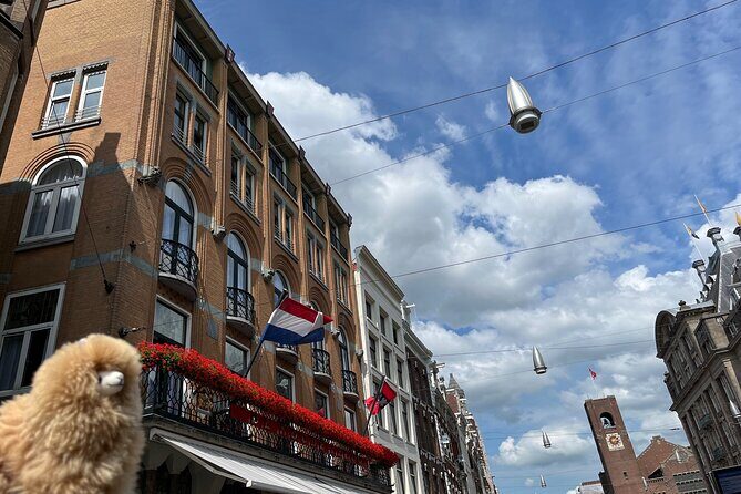 A 3 Days Tour of Belgium and Netherlands from Paris - Who Is This Tour Best For?