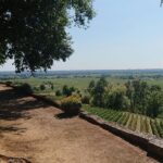 A day in Saint-Émilion and its Châteaux in a private tour (Van Luxe) - Who Will Love This Tour?