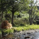 A taste of Scotland Full-Day Private Tour - Who Will Love This Tour?