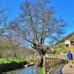 A tour between Cascades and Schist Villages, Piodão - Who Is This Tour Best For?