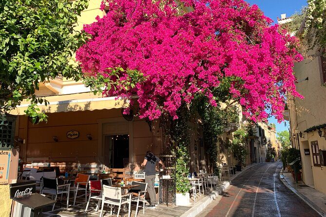Acropolis & Plaka Neighbourhood Private Tour with Licensed Expert - What Makes This Tour Special?