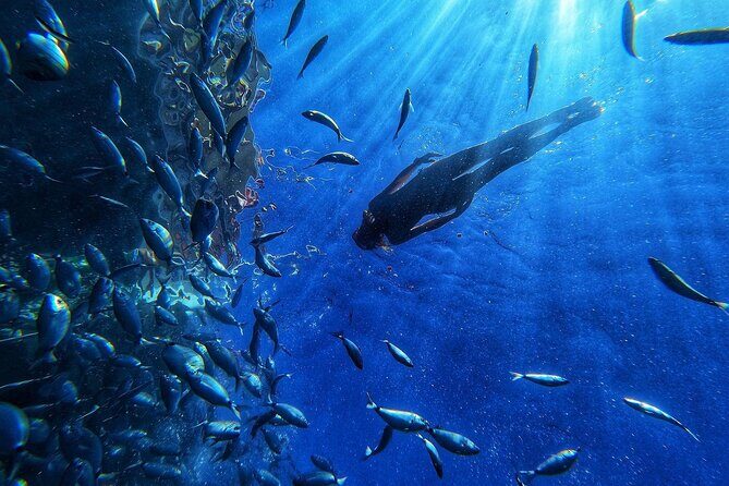 Afrikat Afternoon Cruise - Frequently Asked Questions