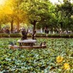 Afternoon Delights in Sofia Tour - The Tour Experience in Detail