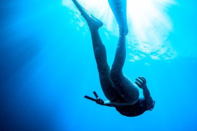 Afternoon snorkelling guided by a marine biologist in Sorrento - Practical Details and Tips