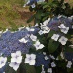 Agriculture Green Tour - What Makes This Tour Special?