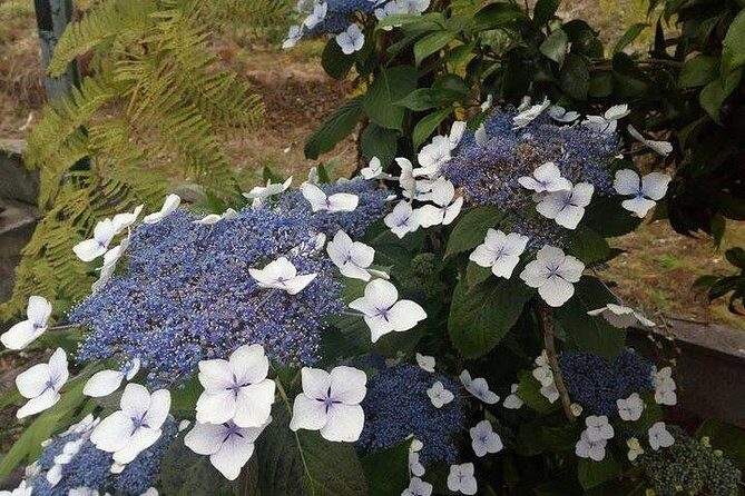 Agriculture Green Tour - What Makes This Tour Special?