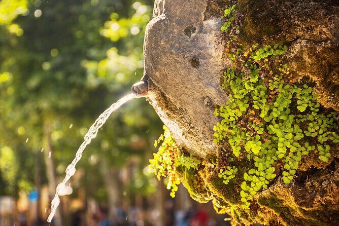 Aix-en-Provence Scavenger Hunt and Sights Self-Guided Tour - The Sum Up