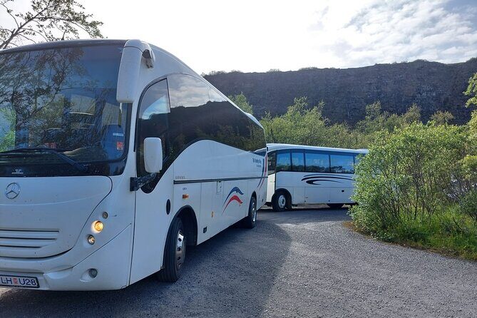 Akureyri Northern Light Tour - Who Is This Tour Best For?