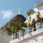 Alberobello: 2-hour Walking Tour - Group or Private - Value for Money