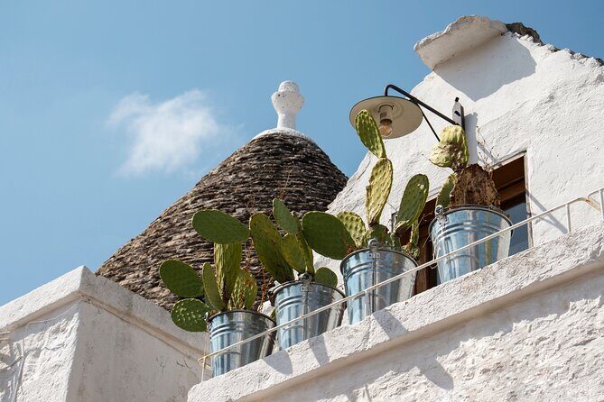Alberobello: 2-hour Walking Tour - Group or Private - Value for Money