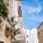 Alberobello, Monopoli Polignano Small-Group Guided Tour from Bari - Who Will Appreciate This Tour?