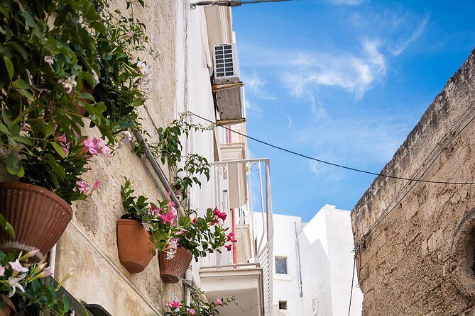 Alberobello, Monopoli Polignano Small-Group Guided Tour from Bari - Who Will Appreciate This Tour?