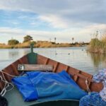 Albufera Natural Park Tour with Boat Ride from Valencia - The Itinerary Breakdown: What to Expect