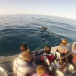 Algarve Dolphin Watching & Marine Life Eco Tour - Frequently Asked Questions