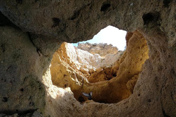 Algarve Private Tour from Lisbon - The Experience: What Do Travelers Say?