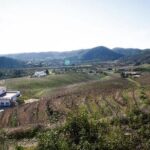 Algarve Wine Tour of Two Wine Estates - Practical Details That Matter