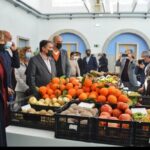 Algarve Wines Tasting Shared Experience at Mercado Municipal de Silves - Who This Experience Is Best For