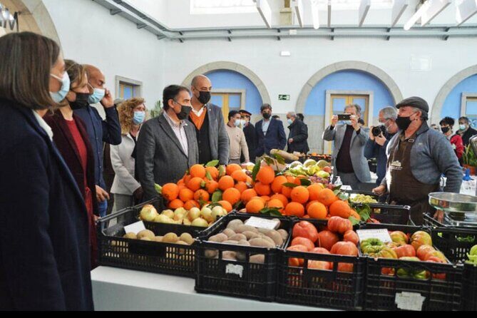 Algarve Wines Tasting Shared Experience at Mercado Municipal de Silves - Who This Experience Is Best For