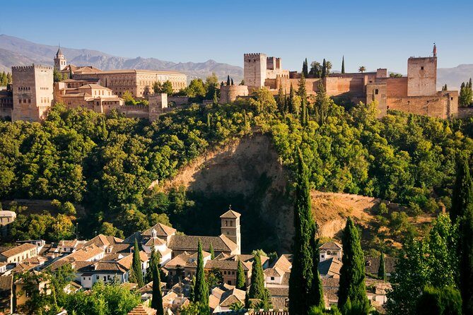 Alhambra Private/Small Group Tour & Nasrid Palaces Skip the Line - Real-World Insights from Other Travelers