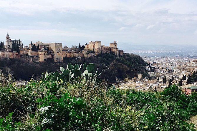Alhambra private tour (without tickets) total/group Max 15 people - FAQ