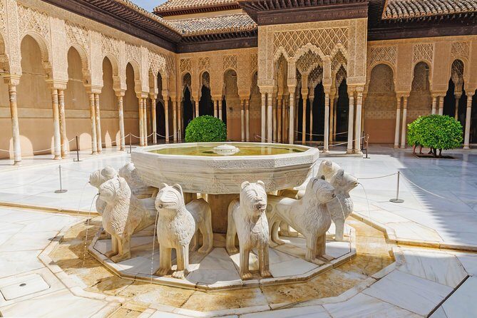 Alhambra Ticket and Guided Tour with Nasrid Palaces - The Value for Money