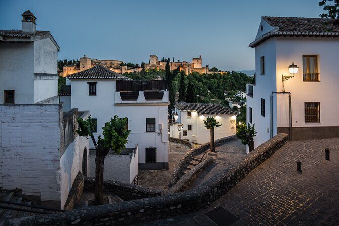 Alhambra with Nazaries Palaces Private Tour - The Experience of the Tour