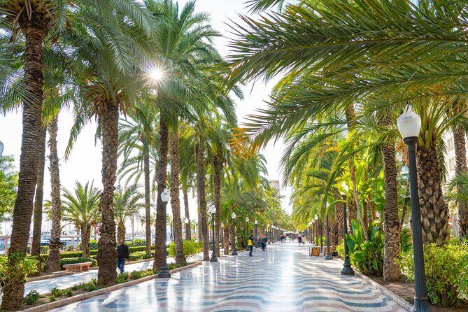 Alicante Semi-Private Tour: City, Castle, Market & Tapas Walk - A Deep Dive into the Itinerary