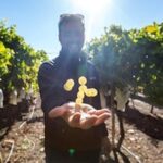 Alicante Wine Tour with Wine Tasting - Practical Tips & Considerations