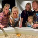 All Alesund Highlights in one tour - The Practicalities: What You Need to Know