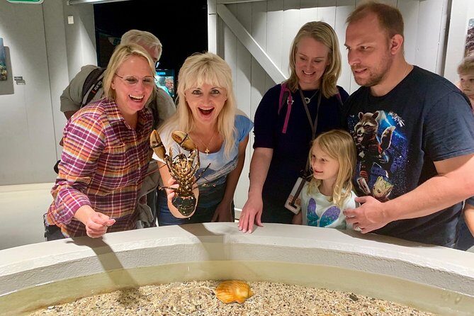 All Alesund Highlights in one tour - The Practicalities: What You Need to Know