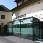 Alpine Zoo Innsbruck and Hungerburg Funicular Combo Ticket - Price and Value