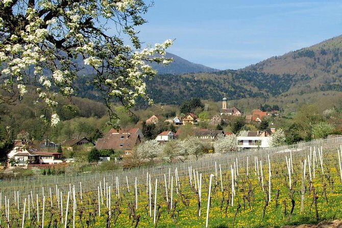 Alsace 4 Wonders Small-Group Day Trip from Colmar - Potential Downsides and Considerations