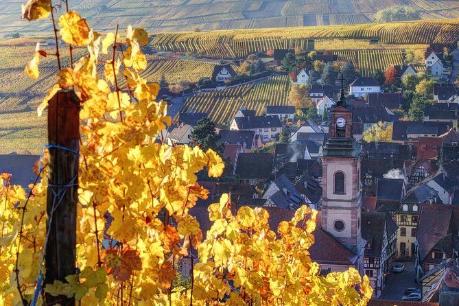 Alsace villages half day tour from Colmar - Whats Included & What’s Not