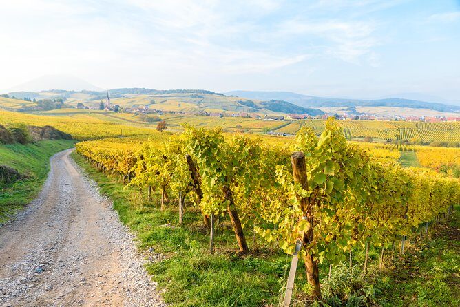 Alsace Wine Route Wineries & Tasting Small Group Guided Tour from Strasbourg - Final Thoughts