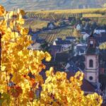 Alsace's Gems Small Group Day Tour from Colmar - The Real Deal: What Guests Say