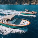 Amalfi Coast Boat Tour from Sorrento Coast - Who Should Consider This Tour?