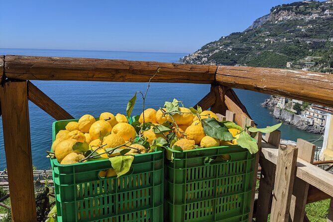 Amalfi Coast - Maiori: Path of Lemons Tour with Tasting - Final Thoughts