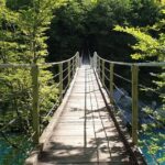 Amazing Willys Jeep Adventure - Duration and Timing