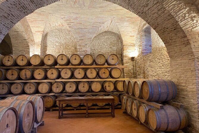 Among ancient sunny vineyards, visit and taste the wines from the San Lorenzo cellar - The Heart of the Experience: Cellar and Production Insights