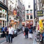 Amsterdam Highlights and History Walking Tour - The Bottom Line: Who Is This Tour For?