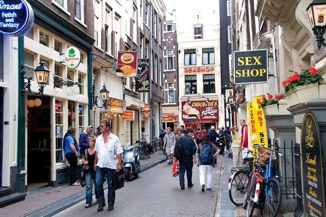 Amsterdam Highlights and History Walking Tour - The Bottom Line: Who Is This Tour For?