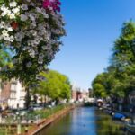 Amsterdam Private Walking Tour - Who This Tour Is Best For