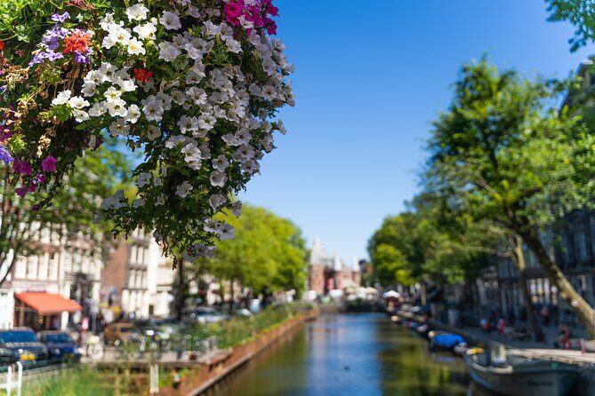 Amsterdam Private Walking Tour - Who This Tour Is Best For