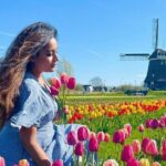 Amsterdam: Tulip Fields Day Tour with Lunch and a Windmill Visit - What Travelers Say