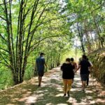 An adventure through the Schist Villages of Lousã - The Experience and What Travelers Say