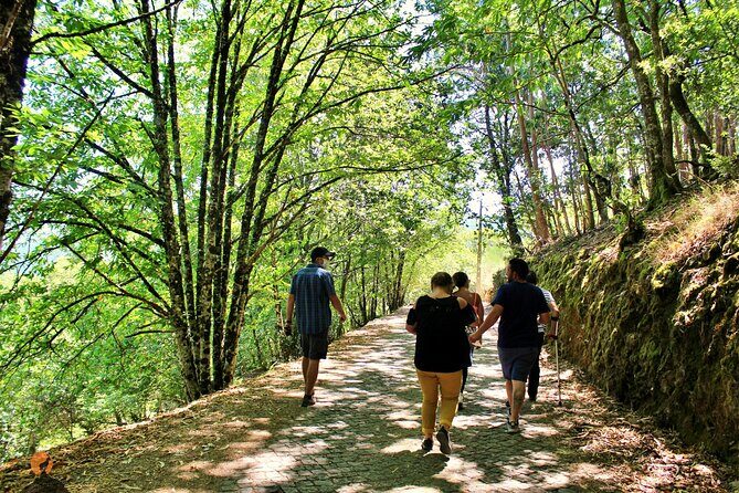 An adventure through the Schist Villages of Lousã - The Experience and What Travelers Say